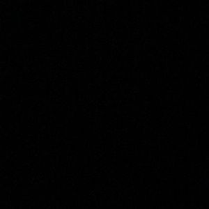 Meet your Posher, Owen